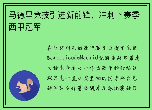 马德里竞技引进新前锋，冲刺下赛季西甲冠军