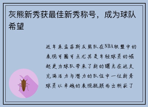 灰熊新秀获最佳新秀称号，成为球队希望